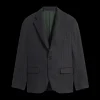 La Veste De Costume Rayée
