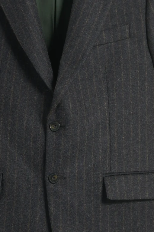 La Veste De Costume Rayée