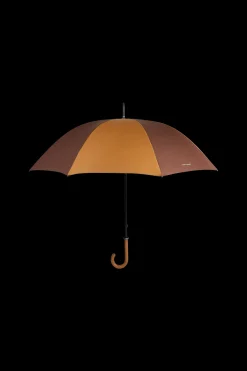 Le Parapluie